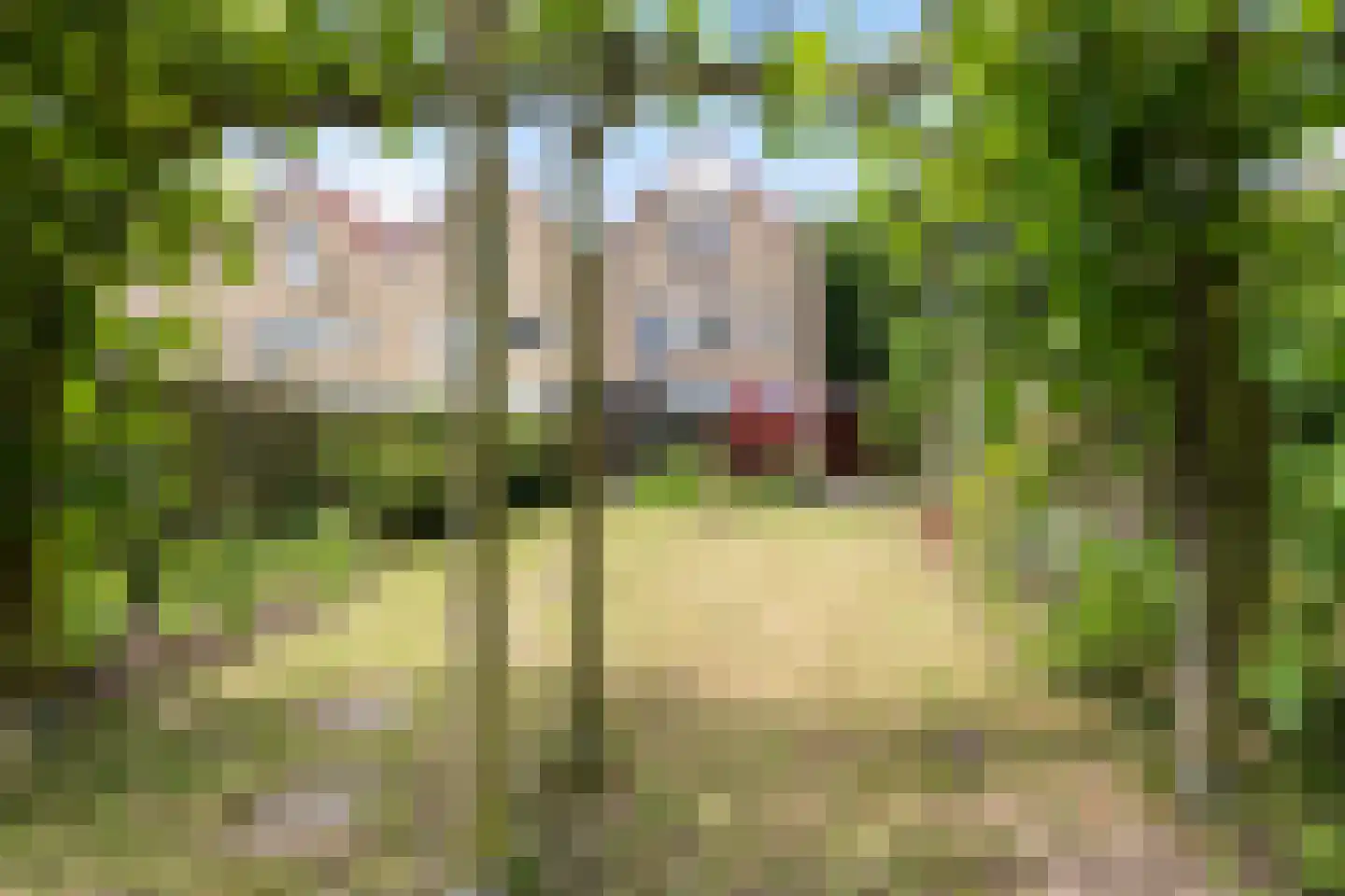 Karveel 51 56 Lelystad thumbnail 46