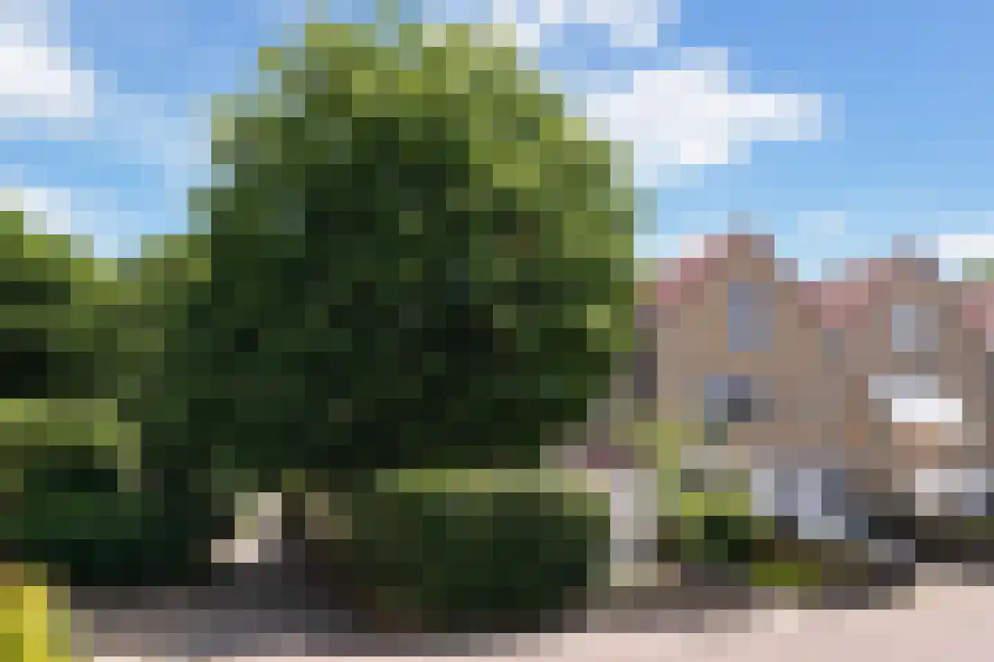 Karveel 51 56 Lelystad thumbnail 57