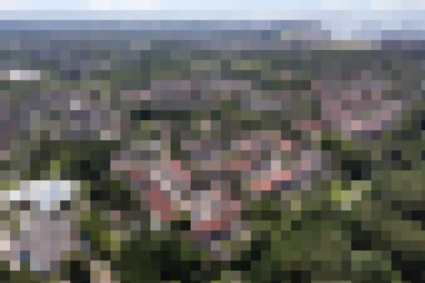 Karveel 51 56 Lelystad thumbnail 60
