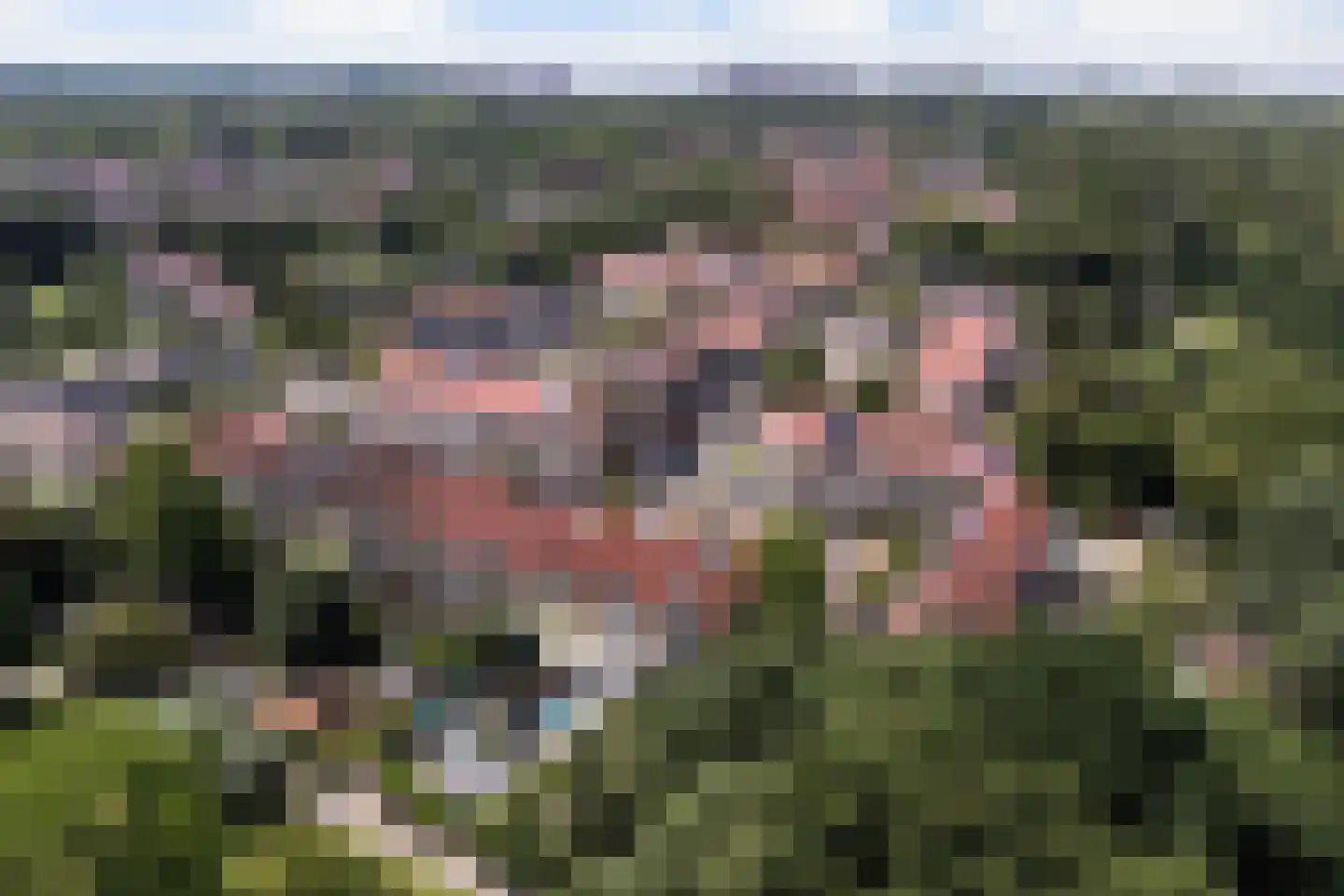 Karveel 51 56 Lelystad thumbnail 65