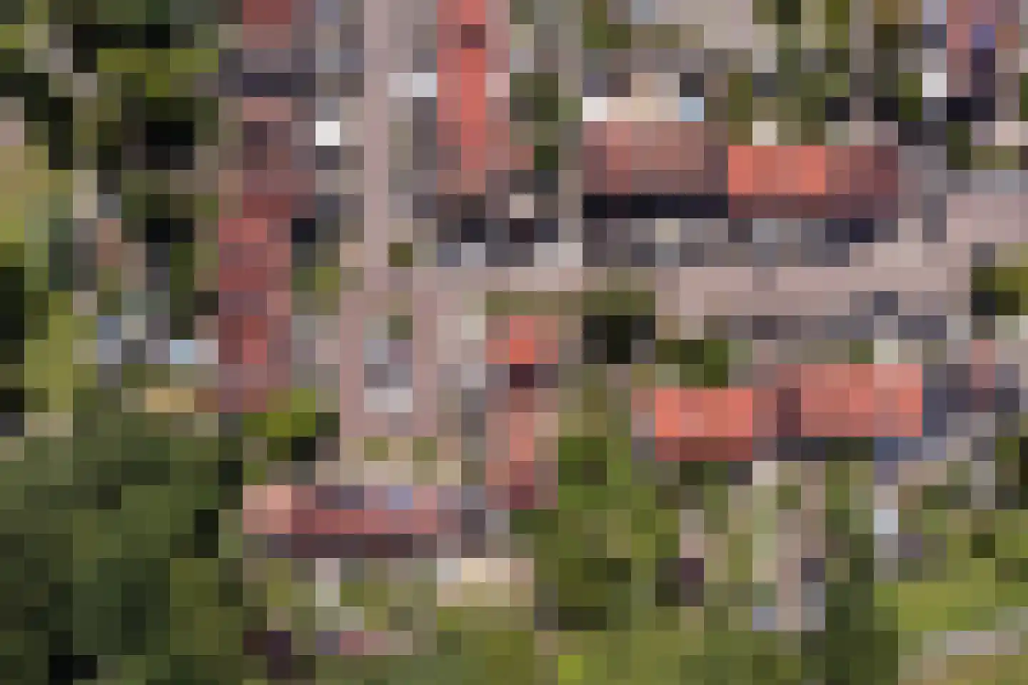 Karveel 51 56 Lelystad thumbnail 67