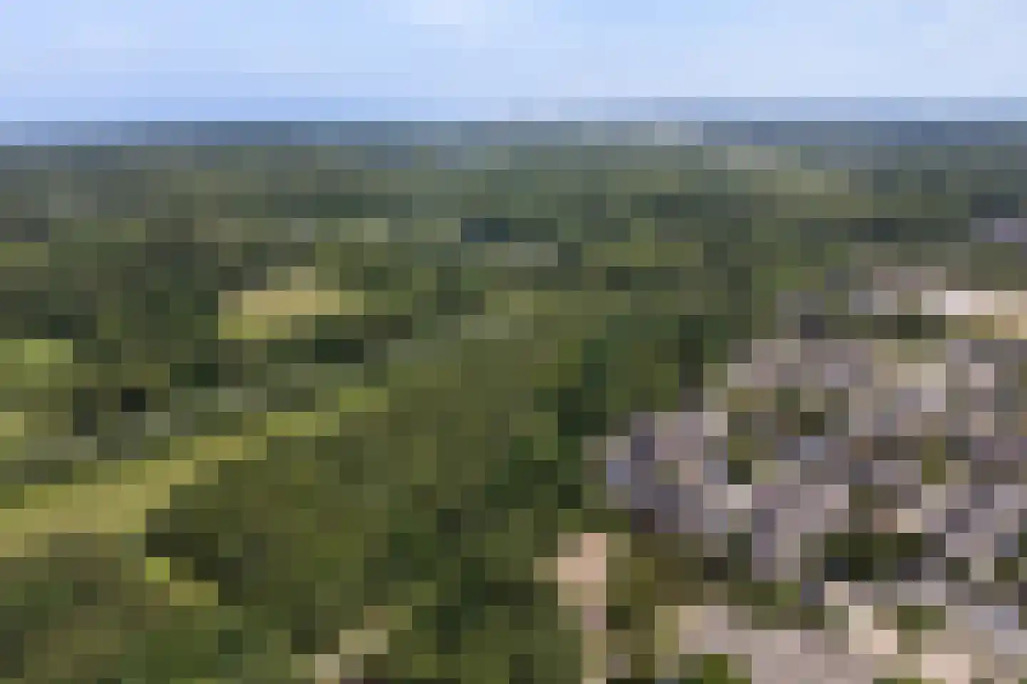 Karveel 51 56 Lelystad thumbnail 82