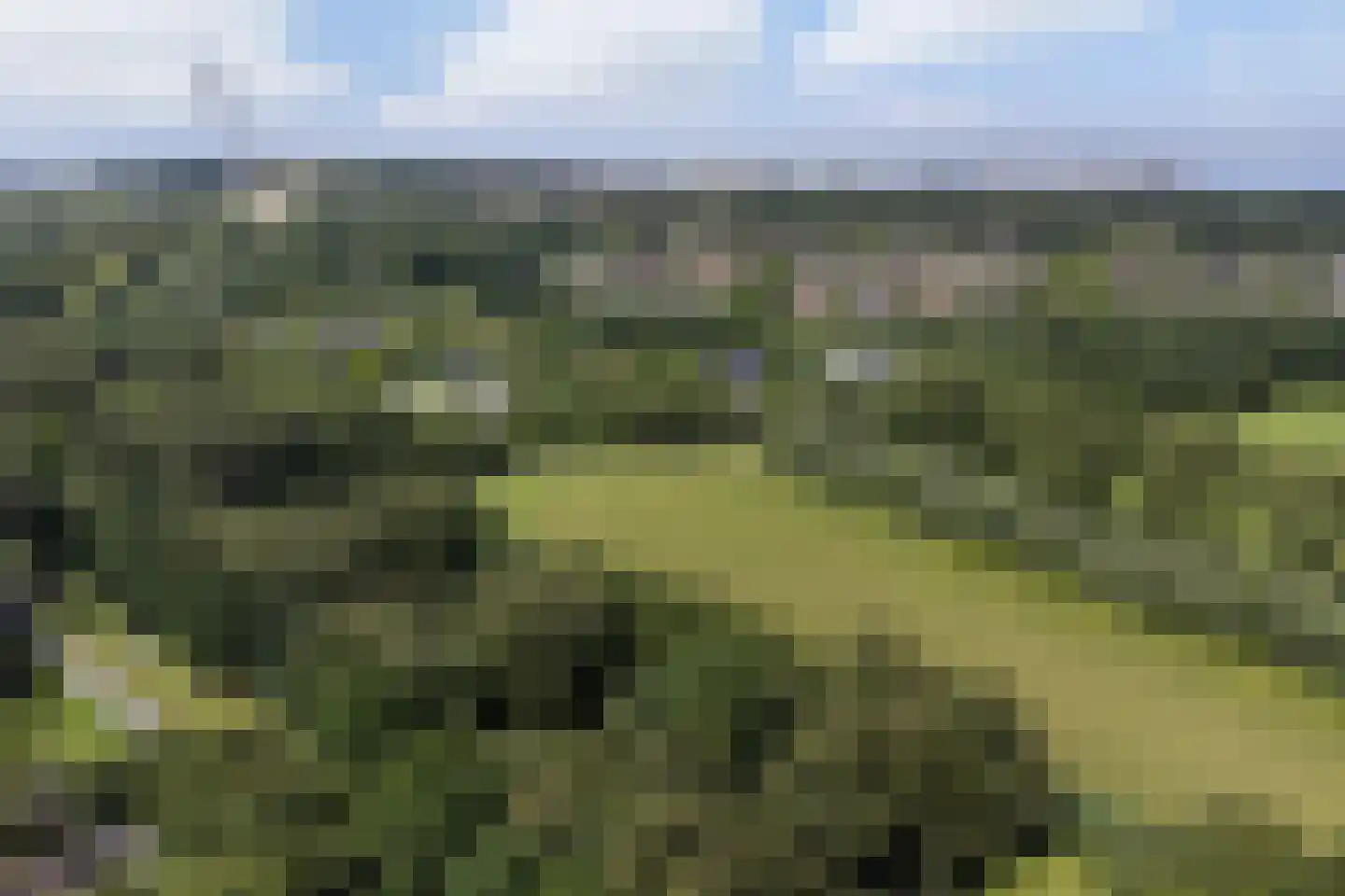 Karveel 51 56 Lelystad thumbnail 83