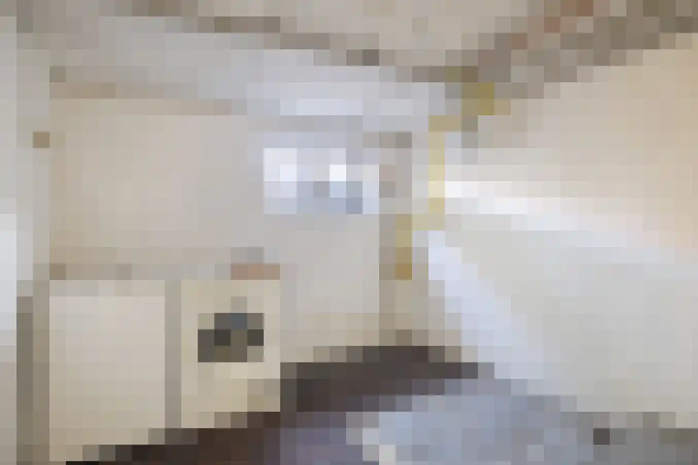 Karveel 52 52 Lelystad thumbnail 31