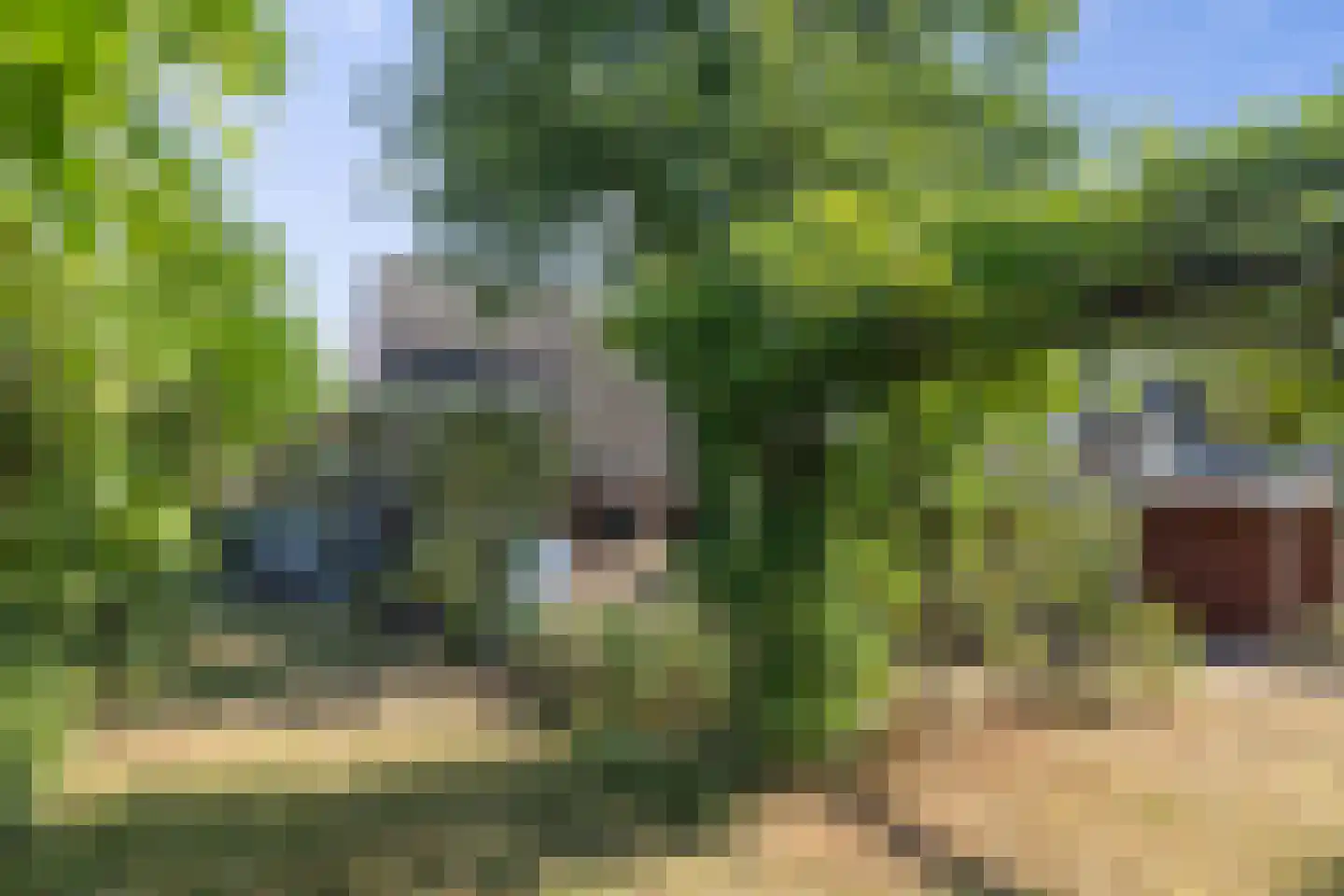 Karveel 52 52 Lelystad thumbnail 6