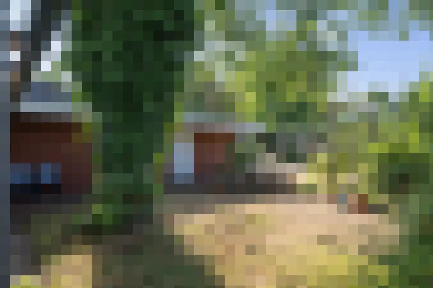 Karveel 52 52 Lelystad thumbnail 8