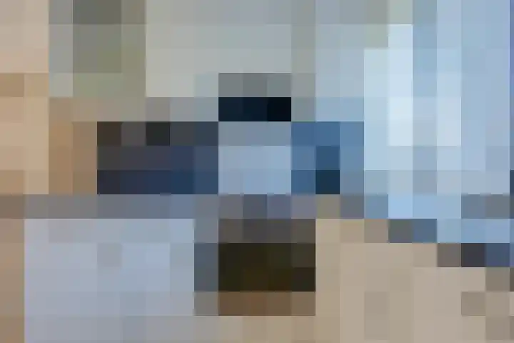 Karveel 53 50 Lelystad thumbnail 10