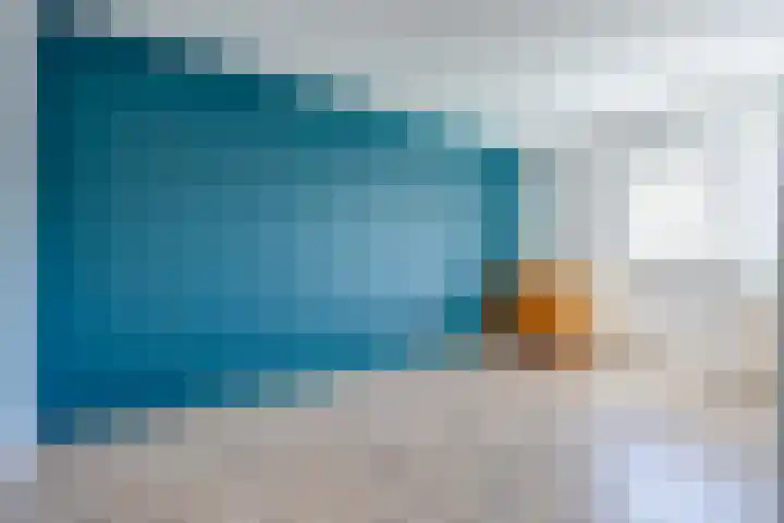Karveel 53 50 Lelystad thumbnail 12