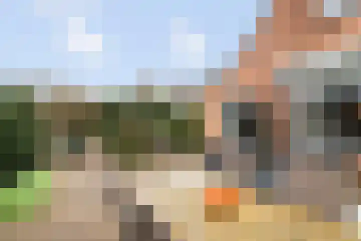 Karveel 54 Veenendaal thumbnail 36