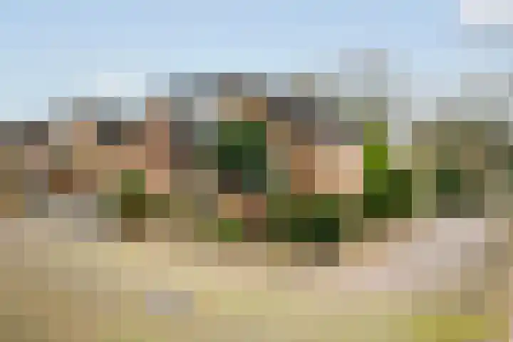 Karveel 54 Veenendaal thumbnail 38