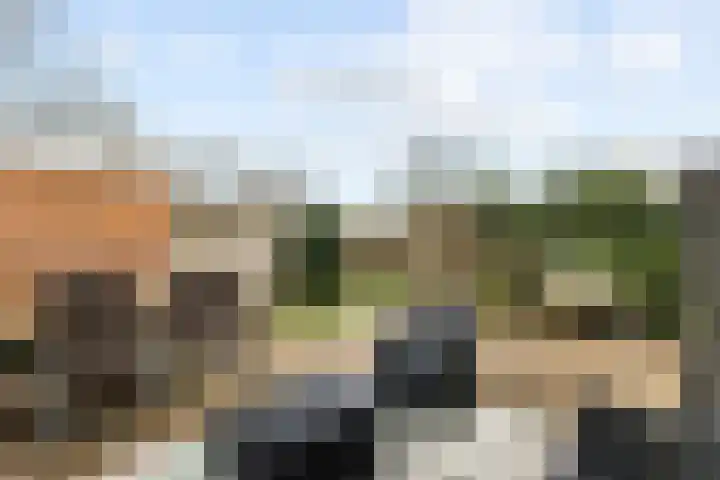 Karveel 54 Veenendaal thumbnail 4