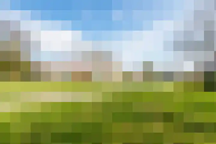 Karveel 56 48 Lelystad thumbnail 30