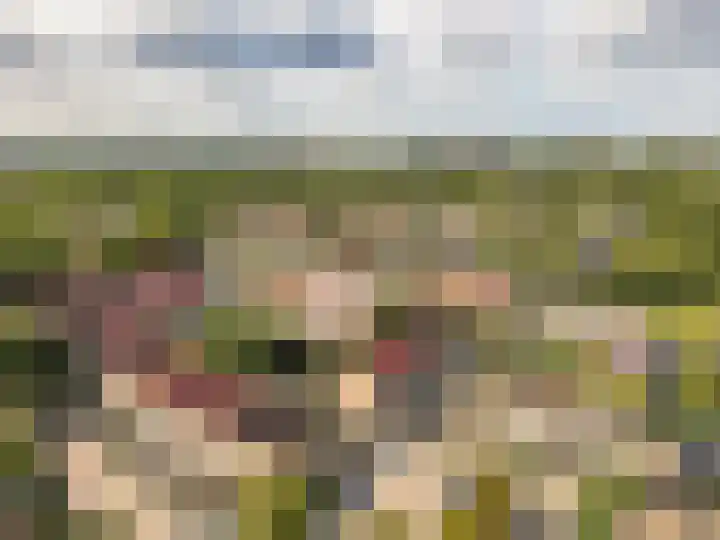 Karveel 56 53 Lelystad thumbnail 44