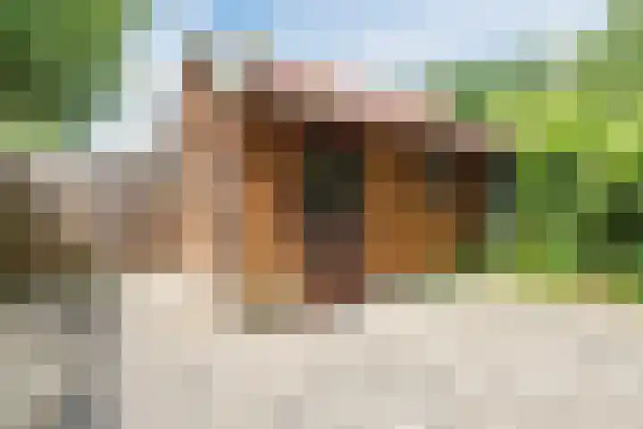 Karveel 56 56 48 Lelystad thumbnail 27