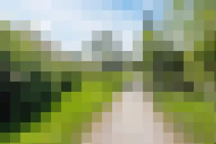 Karveel 56 56 48 Lelystad thumbnail 28