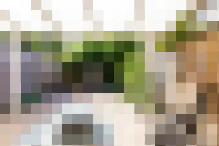 Karveel 56 56 53 Lelystad thumbnail 34