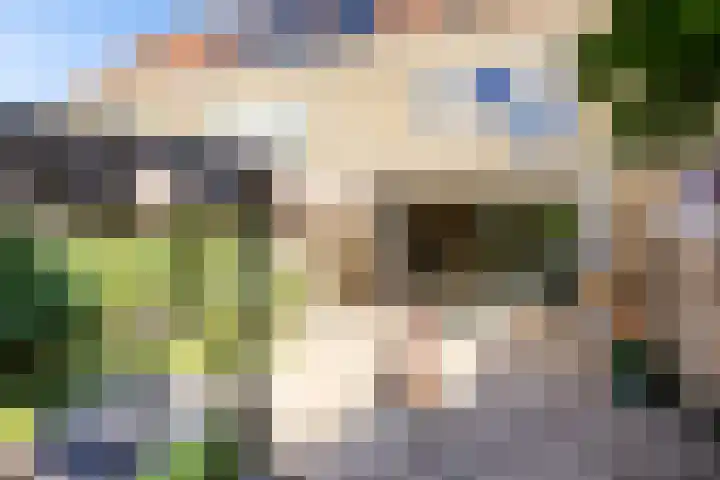 Karveel 56 56 53 Lelystad thumbnail 5