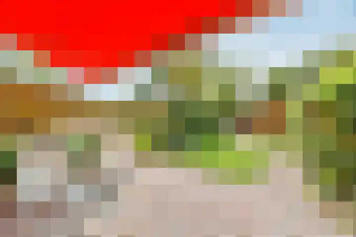 Karveel 57 35 Lelystad thumbnail 15