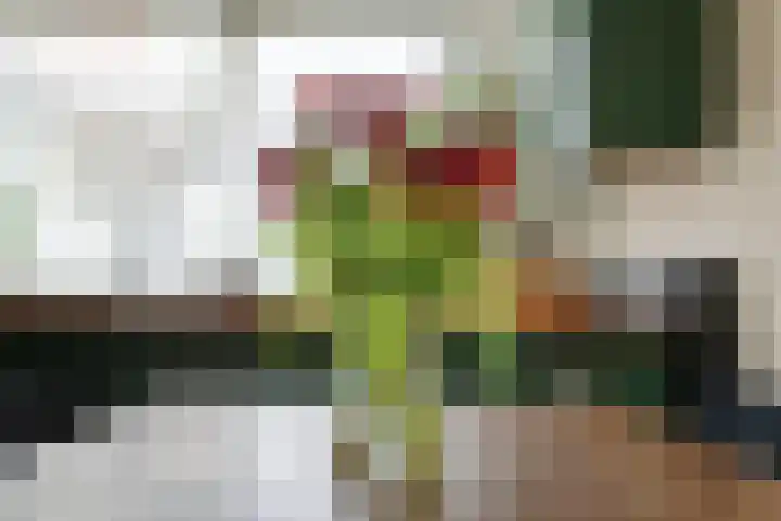 Karveel 57 57 39 Lelystad thumbnail 19
