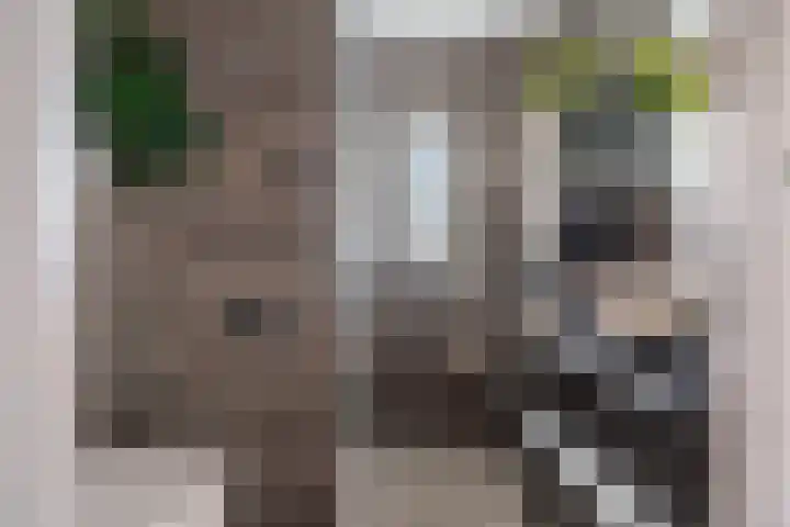 Karveel 57 57 39 Lelystad thumbnail 4
