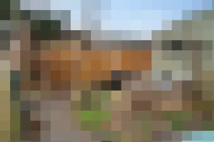 Karveel 57 57 39 Lelystad thumbnail 42