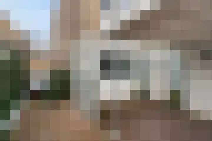 Karveel 57 57 39 Lelystad thumbnail 8
