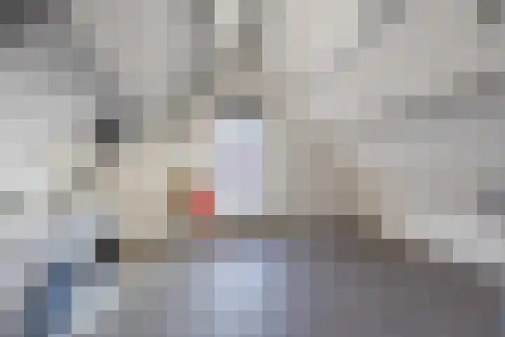 Karveel 57 57 45 Lelystad thumbnail 36