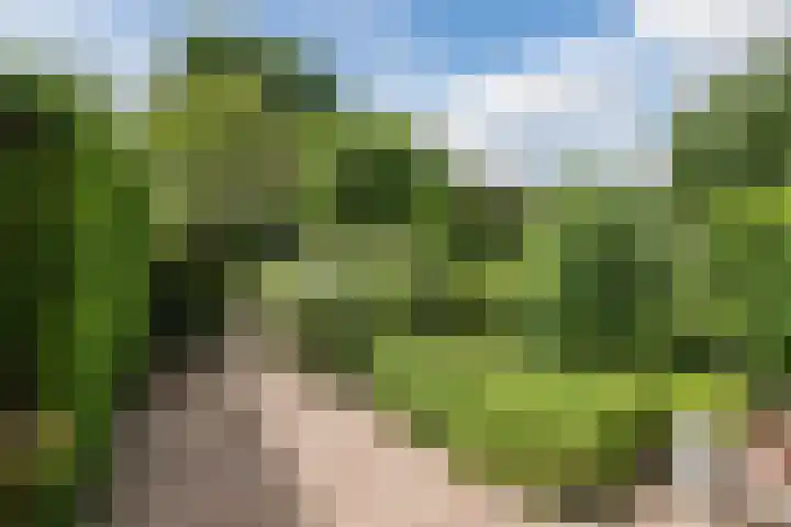 Karveel 58 56 Lelystad thumbnail 35