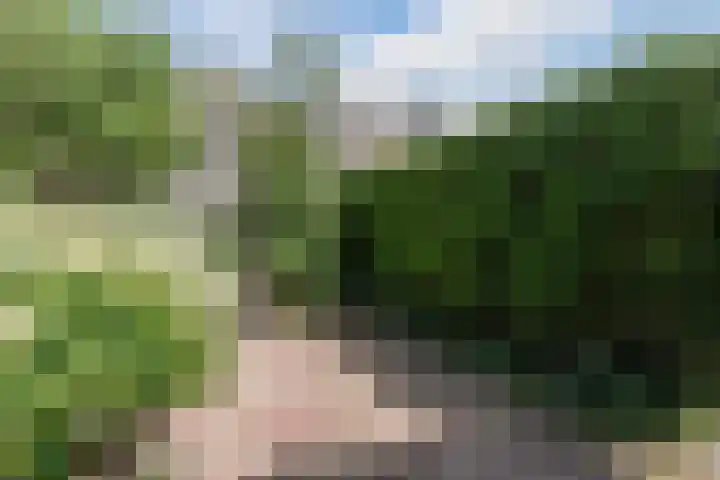 Karveel 58 56 Lelystad thumbnail 38
