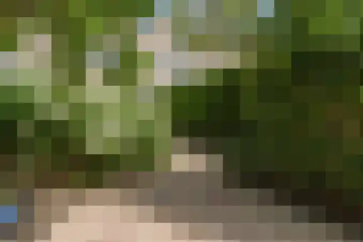 Karveel 58 56 Lelystad thumbnail 39