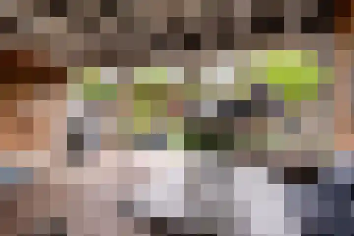 Karveel 58 58 92 Lelystad thumbnail 15
