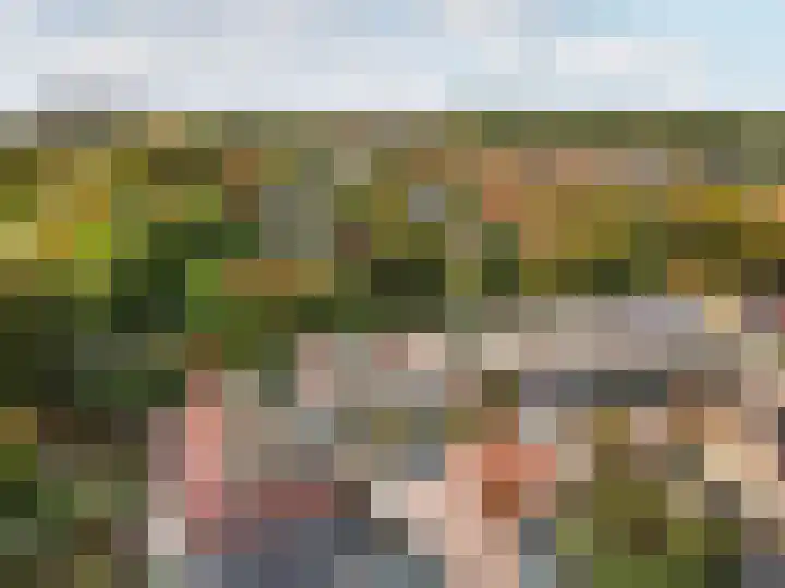Karveel 58 70 Lelystad thumbnail 31
