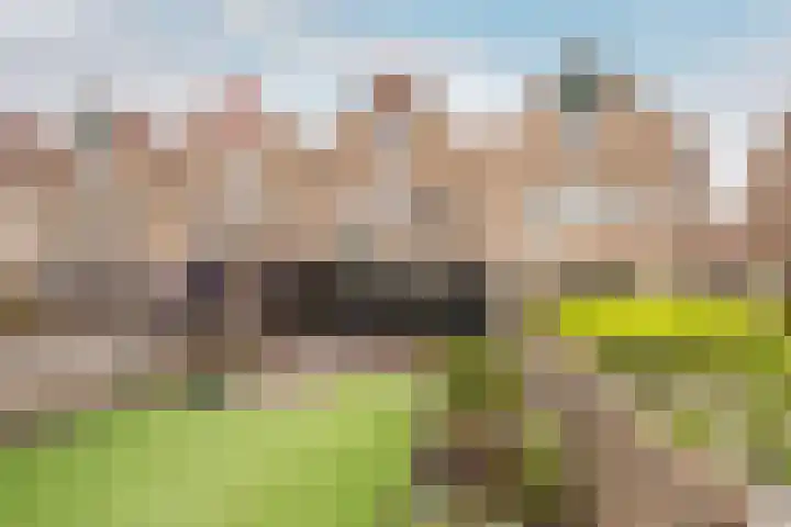 Karveel 58 92 Lelystad thumbnail 17