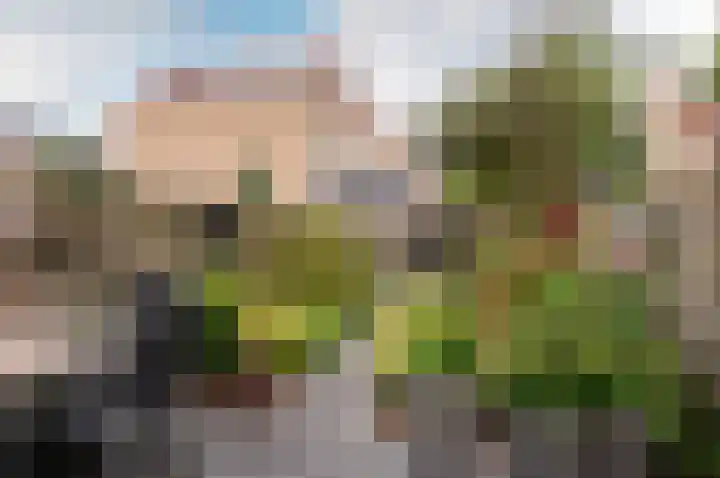 Karveel 59 59 10 Lelystad thumbnail 27