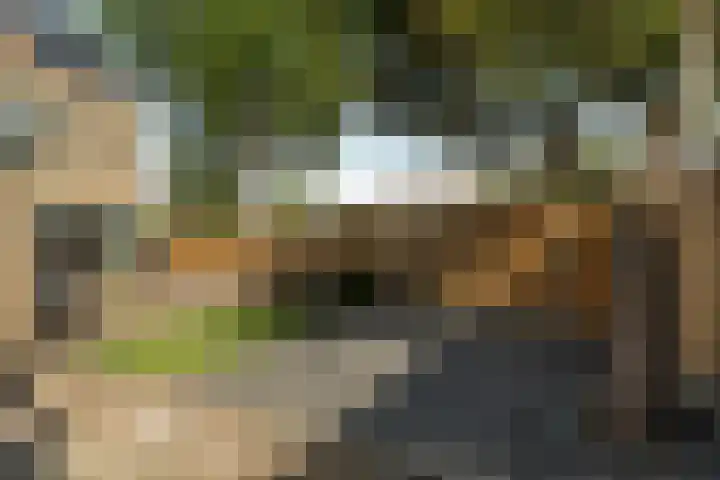 Karveel 59 59 86 Lelystad thumbnail 56
