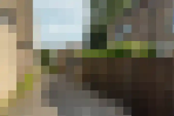 Karveel 59 59 86 Lelystad thumbnail 6