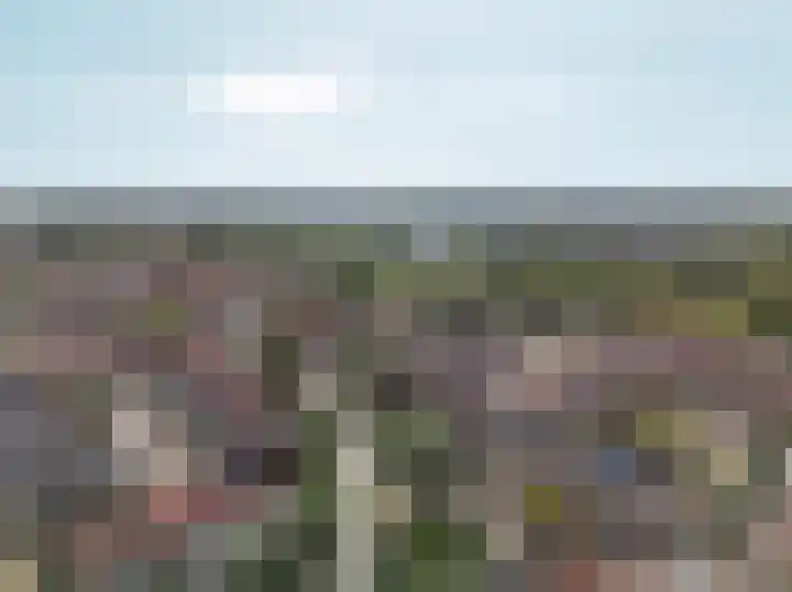 Karveel 59 59 86 Lelystad thumbnail 62
