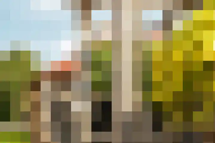 Karveel 59 59 86 Lelystad thumbnail 8