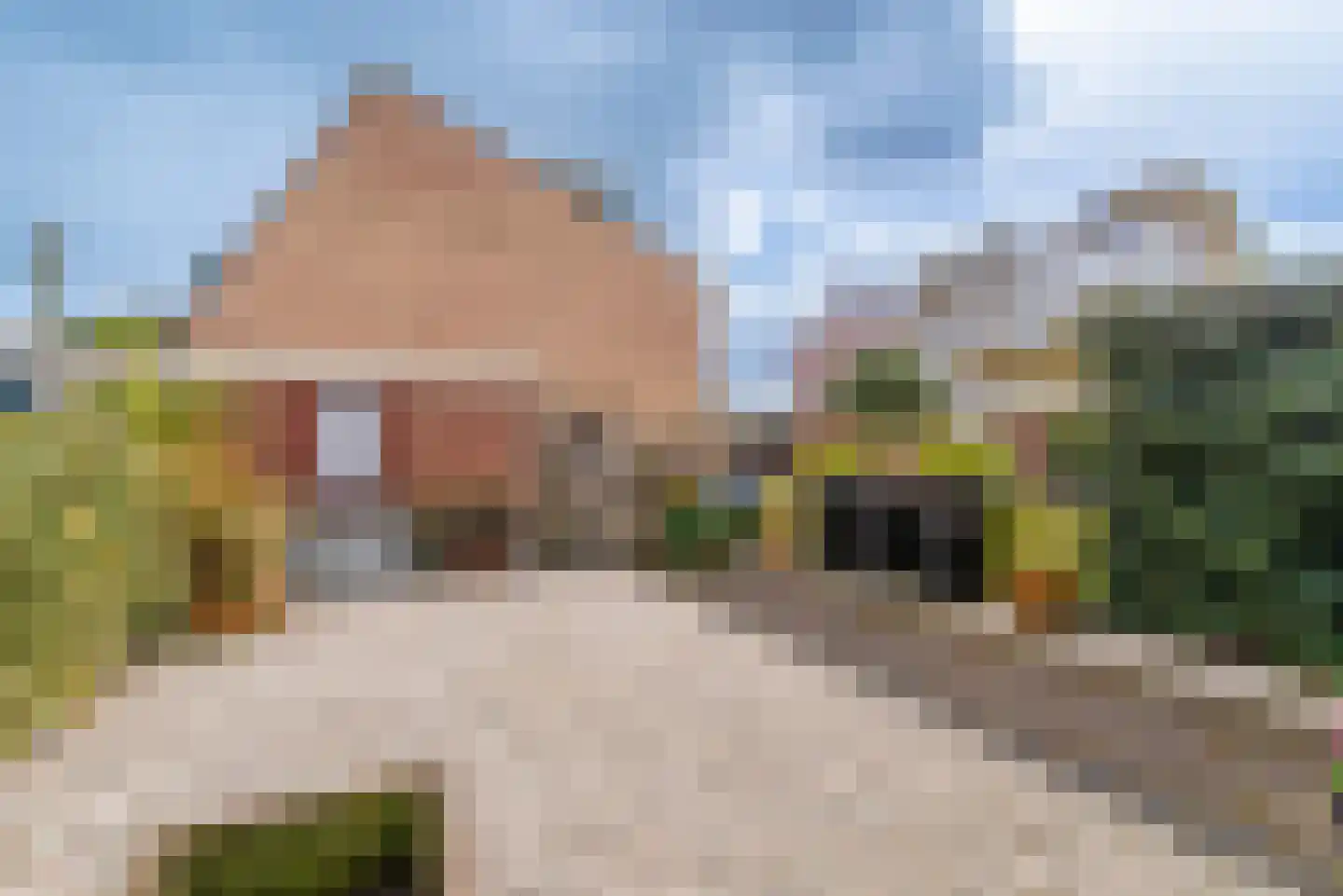 Karveel 6 Veenendaal thumbnail 23