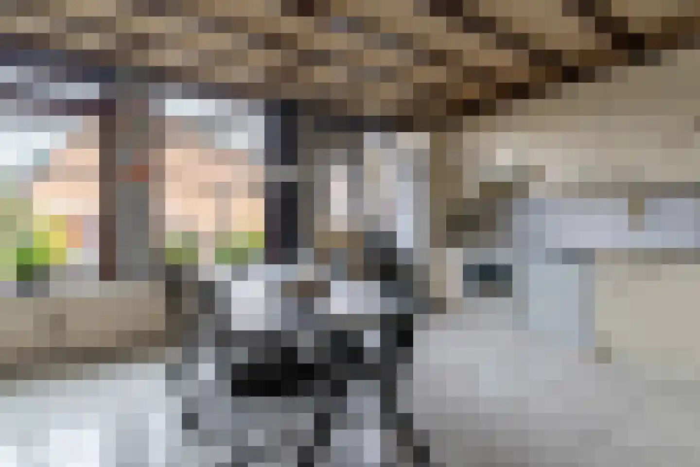 Karveel 6 Veenendaal thumbnail 7