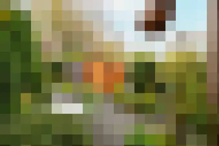 Karveel 60 60 4 Lelystad thumbnail 6