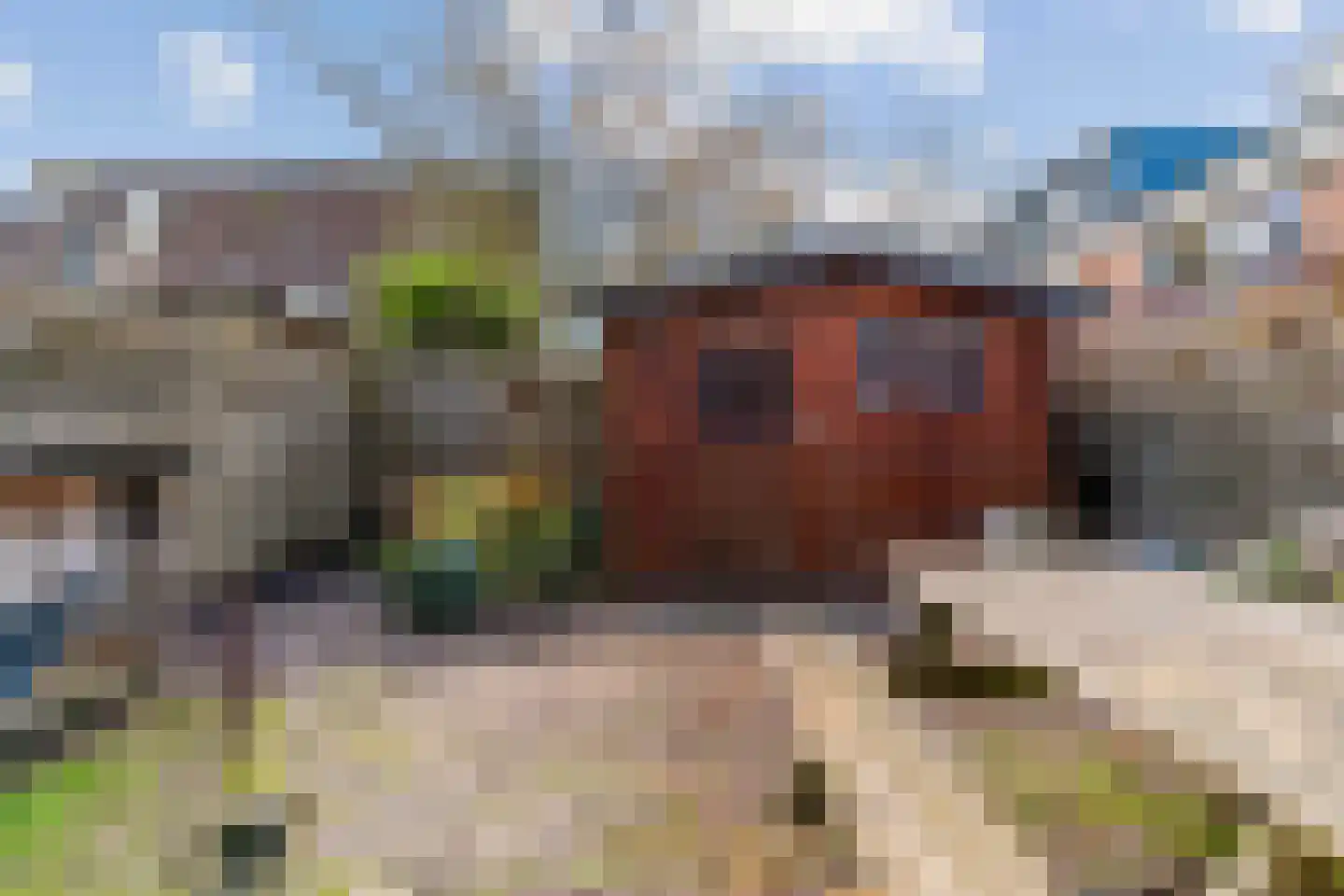 Karveel 60 Hoorn thumbnail 33