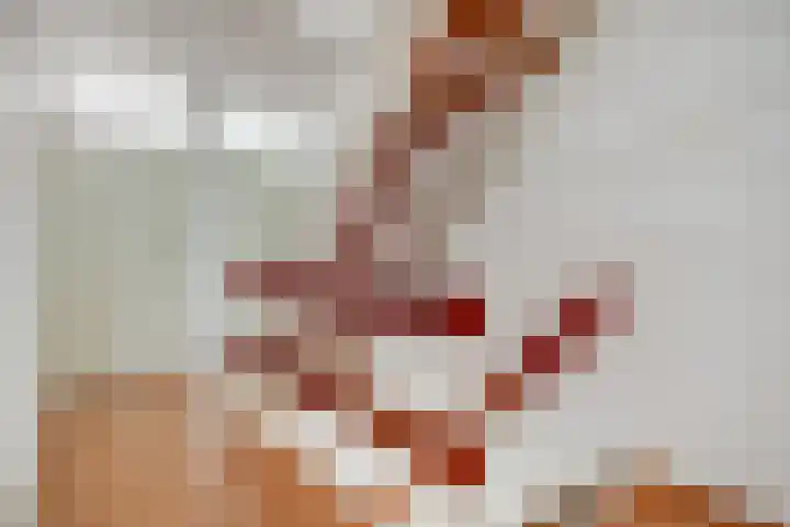 Karveel 9 Brielle thumbnail 10