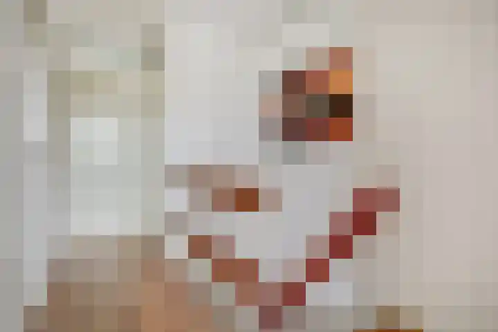 Karveel 9 Brielle thumbnail 18