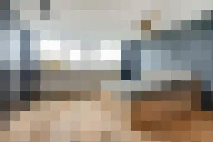 Karveel 9 Brielle thumbnail 19