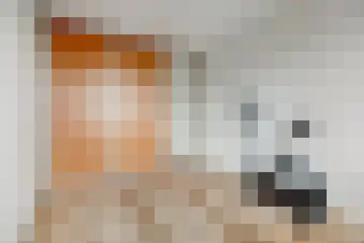 Karveel 9 Brielle thumbnail 26
