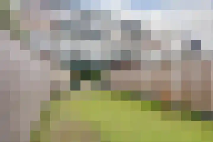 Karveel 9 Brielle thumbnail 30