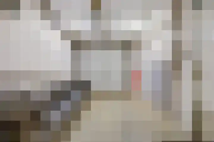 Karveel 9 Brielle thumbnail 5