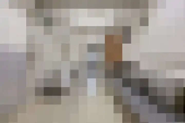 Karveel 9 Brielle thumbnail 6