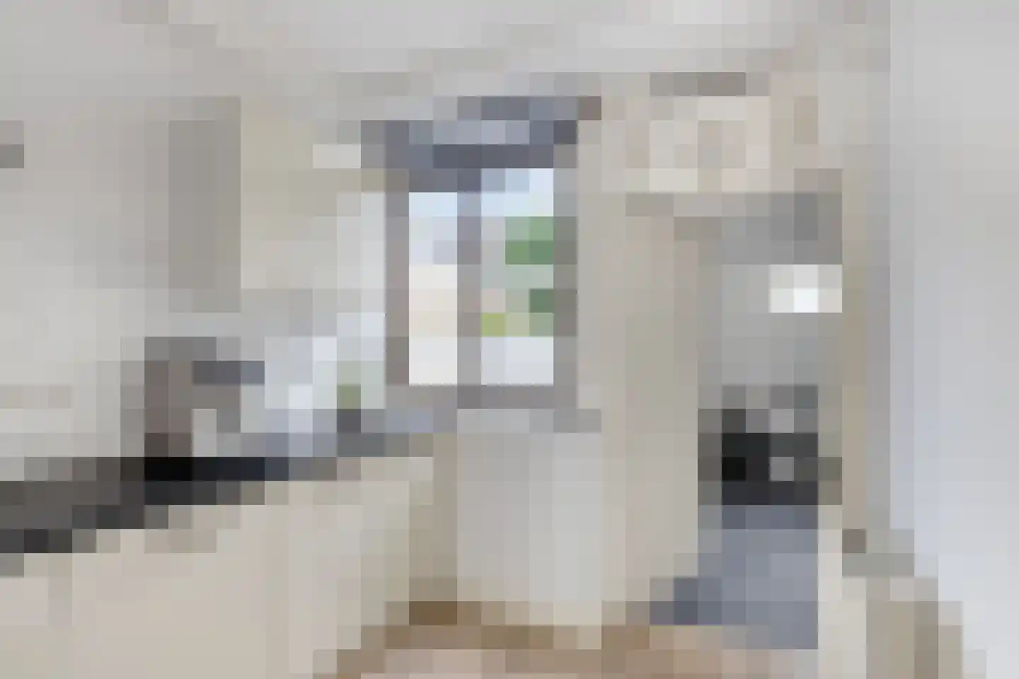 Karveelstraat 12 Zaandam thumbnail 12